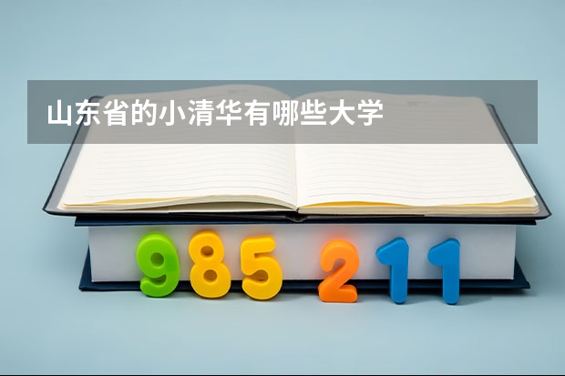 山东省的小清华有哪些大学