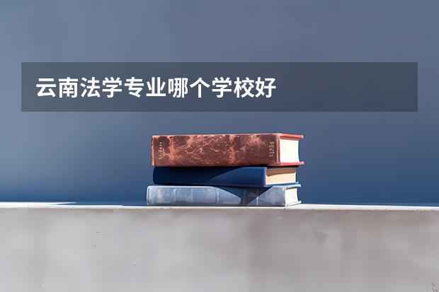 云南法学专业哪个学校好