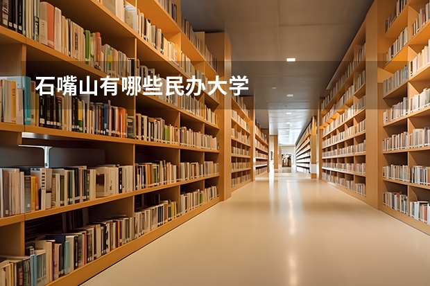 石嘴山有哪些民办大学