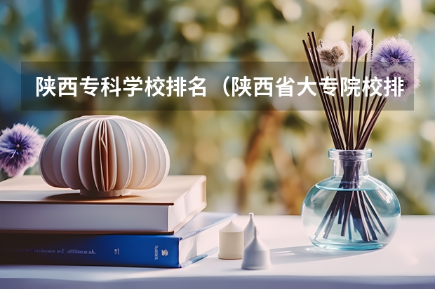 陕西专科学校排名（陕西省大专院校排行榜公办学校）