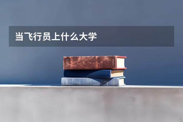 当飞行员上什么大学