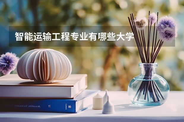 智能运输工程专业有哪些大学