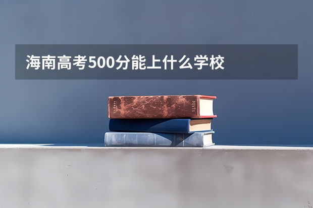 海南高考500分能上什么学校