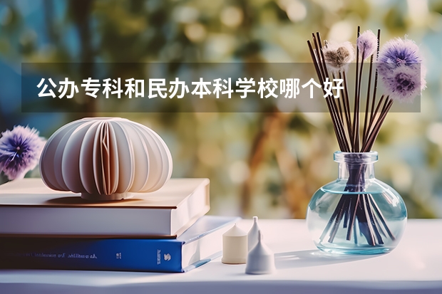 公办专科和民办本科学校哪个好