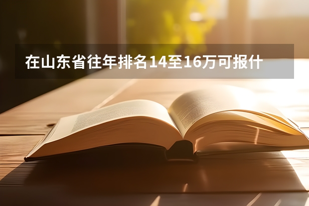 在山东省往年排名14至16万可报什么大学