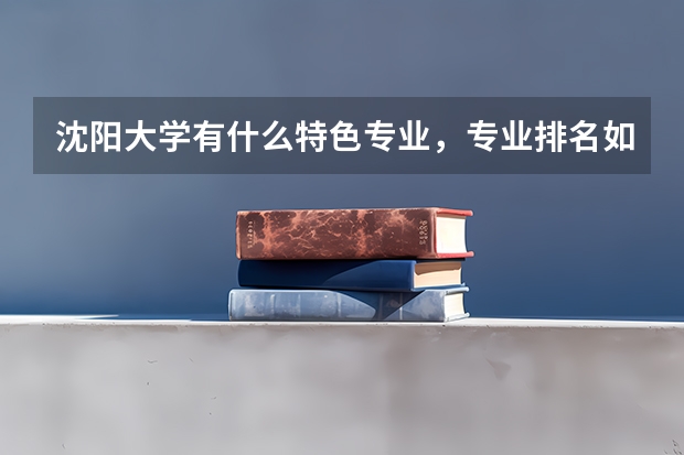 沈阳大学有什么特色专业，专业排名如何