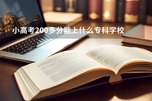 小高考200多分能上什么专科学校