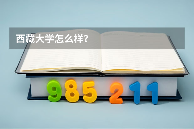 西藏大学怎么样？