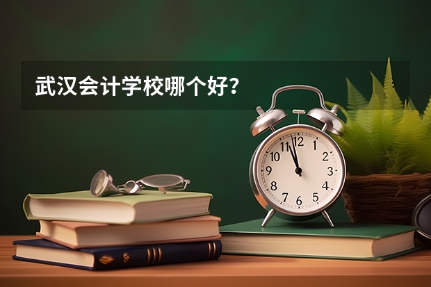 武汉会计学校哪个好？