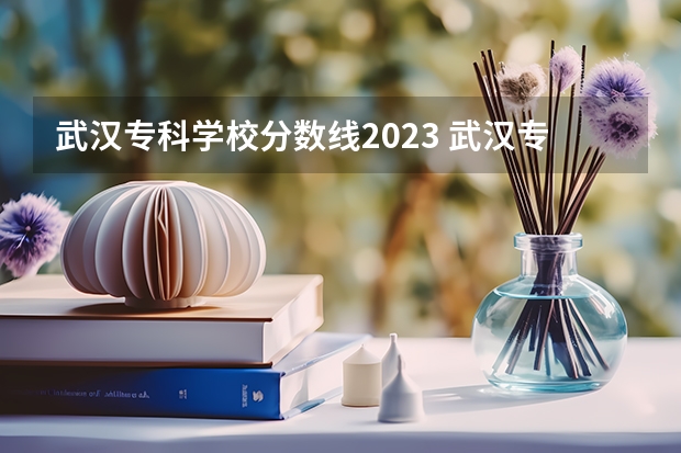 武汉专科学校分数线2023 武汉专科公办学校分数线