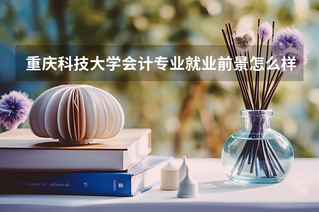 重庆科技大学会计专业就业前景怎么样？