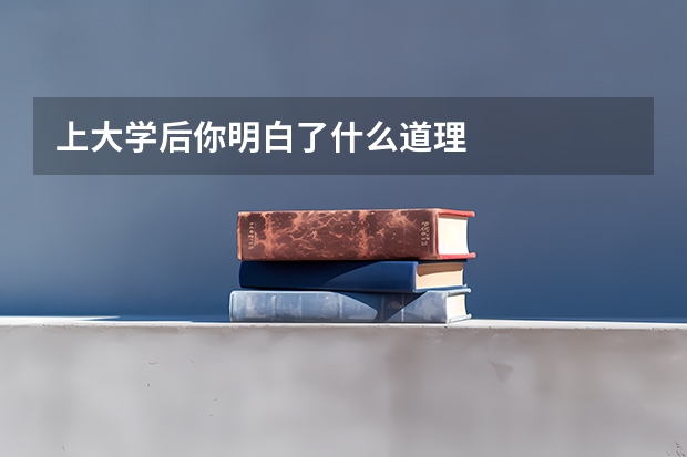 上大学后你明白了什么道理