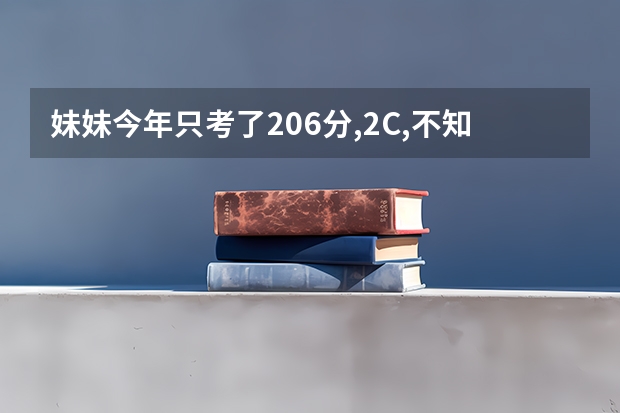 妹妹今年只考了206分,2C,不知道能上什么专科学校,请求帮助?