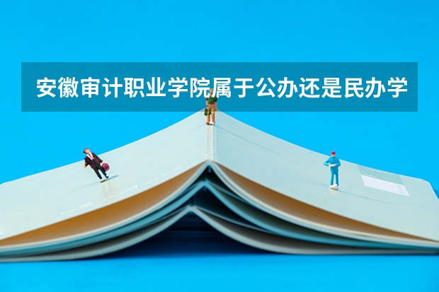 安徽审计职业学院属于公办还是民办学校 安徽审计职业学院教育水平怎么样