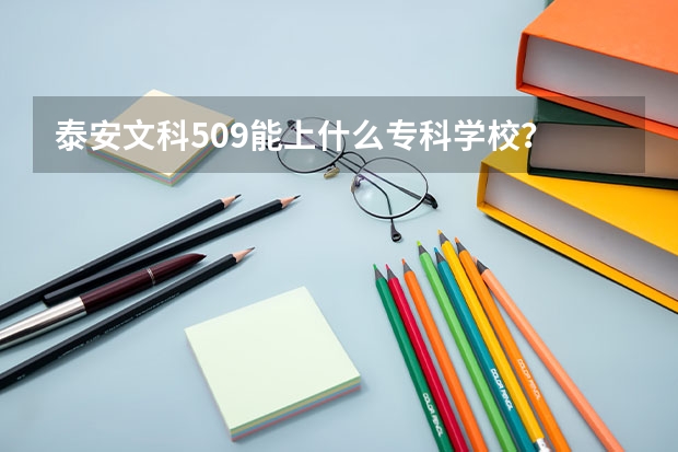 泰安文科509能上什么专科学校？