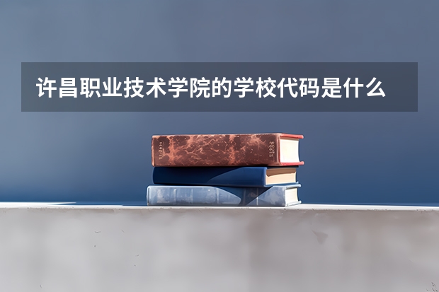 许昌职业技术学院的学校代码是什么