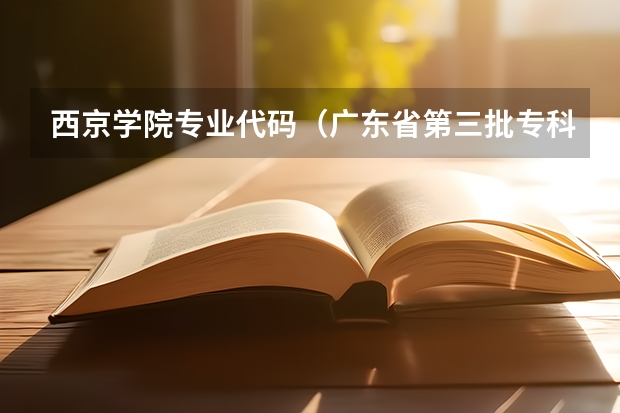 西京学院专业代码（广东省第三批专科B类院校投档情况）