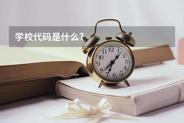 学校代码是什么?