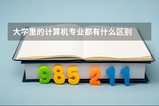 大学里的计算机专业都有什么区别