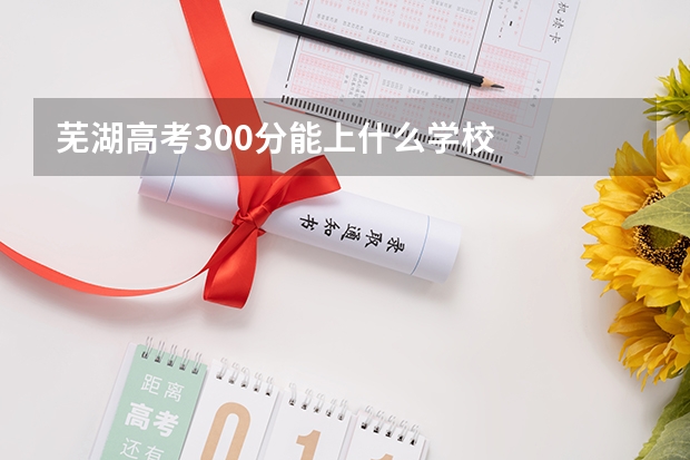 芜湖高考300分能上什么学校