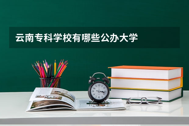 云南专科学校有哪些公办大学